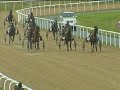 RACE TEN, Augsut 10, 2008. Dundalk Stadium Harness Racing