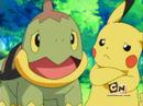 turtwig