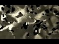 OsteoDenx Introduction
