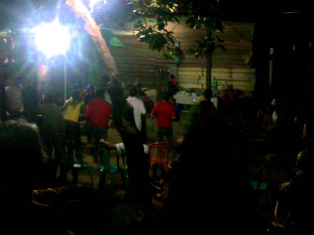 berikut ini merupakan alat musik berdawai yang dipetik kecuali