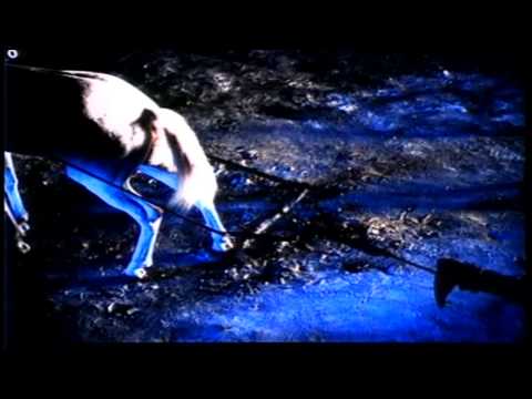 Mid Life - MIDLIFE CRISIS Written by Faith No More Video Directed by Kevin Kerslake © ℗ 1992 Slash Records.