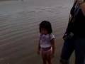 videos de Birds in galveston    