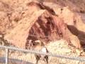 Morenci Thanksgiving Trip Video 3 (sheep #1)