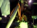 Madbeat & Soulbird - Nightwalk (clip)
