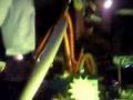 Madbeat & Soulbird - Nightwalk (clip)