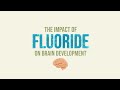 The Impact of Fluoride on the Developing Brain