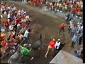Palio Allumiere.Asini VOLANTI 1 !! Guardare per credere !!!!
