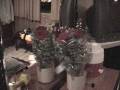 videos de Graduacion de Willie