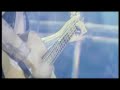 Manowar - Courage (Acoustic)