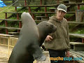 CABÁRCENO (CANTABRIA) -- MUCHOVIAJE