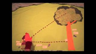2013 Honorable Mention • Trig in a Tree • Maddy Stewart and Bailey Bermond