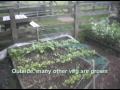 A tour of Freightliners City Farm