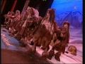Carnaval de C�diz 2010 - Comparsa 