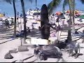 Blanco @ Waikiki Beach