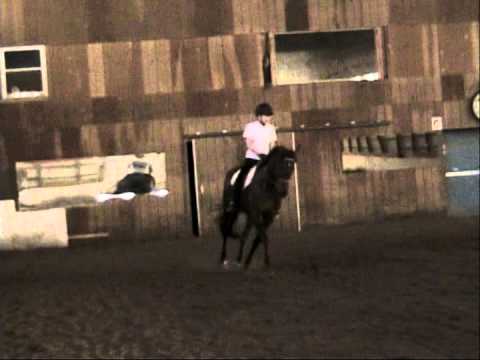 horses grand national