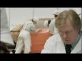 Skoda Fabia - Car Cake advert