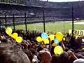 BOCA-river Video 1