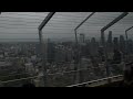 Bombi at the top of the needle in Seattle