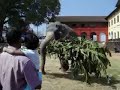 Mangalamkunnu Karnan - ATHULYAM.COM