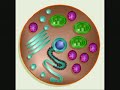 The Origin of Life - Made Easy