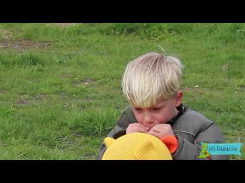 Ballonbal Haakbeesten