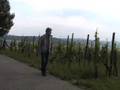 videos de Homestonearts Publicity