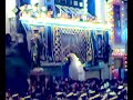 San Guzzepp Miskina Hamrun al-dejjem