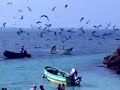 Destination Unknown Isla Iguana,Panama,