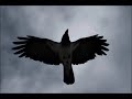 Солдаты Бетонной Лирики - Перемены
