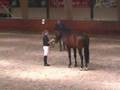 Bekijk video