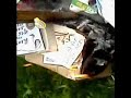 Sacrificial burning of The Chair