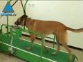 Oketz - The Crack Canine Unit