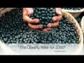 The Obesity Killer 2009  Acai Berry Blast Plus Colon Cleanse