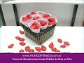 mundopetalos video2