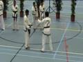 Taekwondo Demo