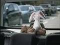 Blaupunkt: Naughty Stuffed Animals Commercial
