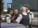 DV-213-2 COQ POLICE PULL CAR OVER WITH GUN INSIDE BARNETTE DV-213-2 COQ POLICE PULL CAR OVER WITH GUN INSIDE BARNETTE
