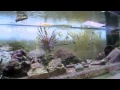 Hollywood, FL Featured in Florida Travel + Life's Affordable Episode on Discovery Channel (Pt 2)