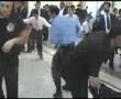 Special chasidic dance show at very orthodox jewish wedding