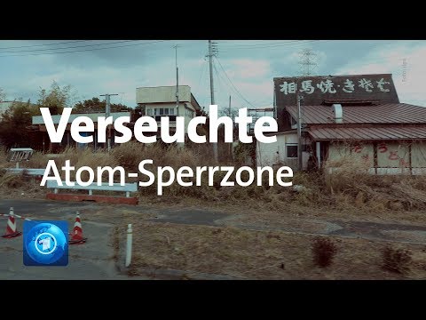 Japan:Fukushima - 8 Jahre nach der Atom-Katastrophe