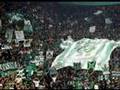 Gate 13 Fans