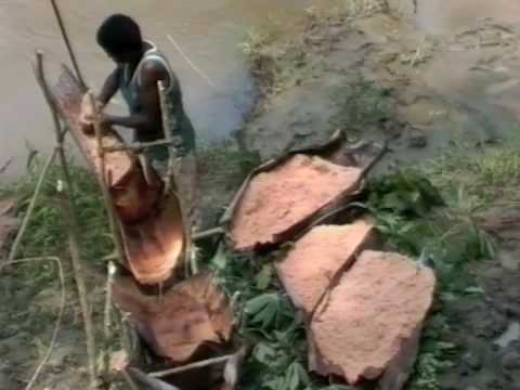 sago - Communal sago collection Washing (9.09) with the sound of women scraping sago in the background. This was a special event with a large team, but the differen...