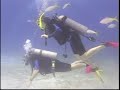 final-scuba.mp4