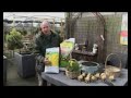 Tips en wetenswaardigheden voor uw tuin, balkon, terras en vijver. Gerard van Run, van Tuincentrum van Run uit Vught vertelt er over.De programma's zijn gemaakt in samenwerking met VTV1 en worden daar wekelijks uitgezonden.