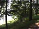 a-day-in-the-park-grose-park.html