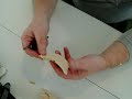 This video show how to carve a wooden dove Christmas ornament.