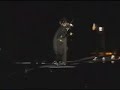 Information Society performs at Rock n Rio 2
