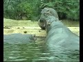 Die Loewen beim Bahnhof Zoo