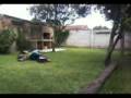 videos de golpes