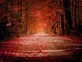 Dj Mystik - Secret Land Dj Mystik - Secret Land